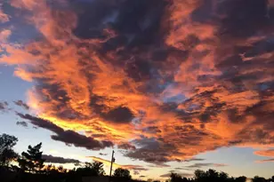 218 Bothun Rd, Berthoud, CO 80513 - Photo 31