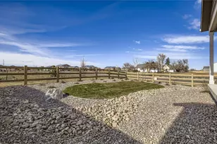 598 Noola St, Windsor, CO 80550 - Photo 41