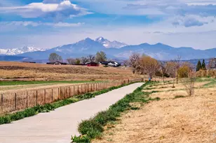 295 Gray Jay Ct, Berthoud, CO 80513 - Photo 41