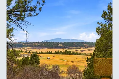 8987 Village Pines Cir, Franktown, CO 80116 - Photo 37