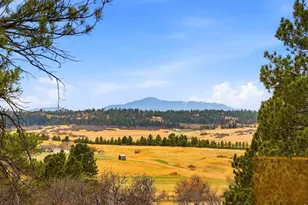 8987 Village Pines Cir, Franktown, CO 80116 - Photo 37