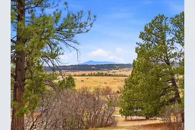 8987 Village Pines Cir, Franktown, CO 80116 - Photo 35