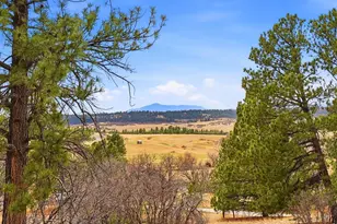 8987 Village Pines Cir, Franktown, CO 80116 - Photo 35