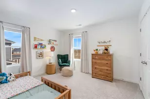 3746 Foxbrush St, Wellington, CO 80549 - Photo 29