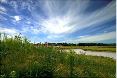 5103 Preserve Pl, Firestone, CO 80504 - Photo 49