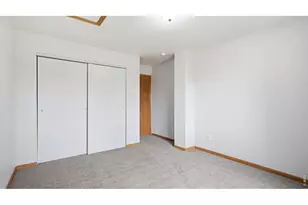 705 Apple Ct, Windsor, CO 80550 - Photo 15