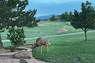 294 Wedge Rock Dr, Lyons, CO 80540 - Photo 35