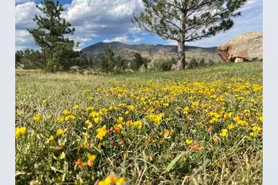 294 Wedge Rock Dr, Lyons, CO 80540 - Photo 31