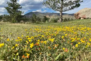 294 Wedge Rock Dr, Lyons, CO 80540 - Photo 31