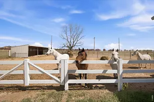 8952 Gander Valley Ln, Windsor, CO 80550 - Photo 41