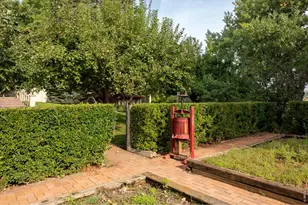 7009 Rozena Dr, Longmont, CO 80503 - Photo 43