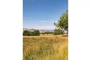 7009 Rozena Dr, Longmont, CO 80503 - Photo 47