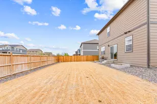 6427 Coralbell St, Wellington, CO 80549 - Photo 31