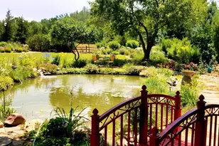 7598 Estate Cir, Niwot, CO 80503 - Photo 5