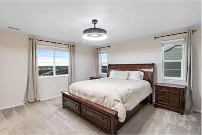 5604 Congressional Ct, Windsor, CO 80528 - Photo 23