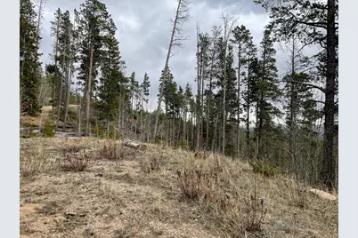 66 Piegan Ct, Red Feather Lakes, CO 80545 - Photo 13