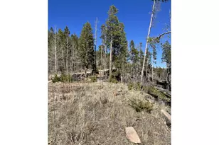 66 Piegan Ct, Red Feather Lakes, CO 80545 - Photo 1