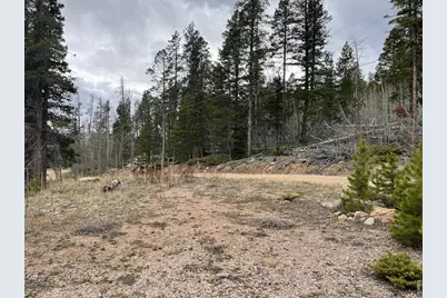 66 Piegan Ct, Red Feather Lakes, CO 80545 - Photo 11