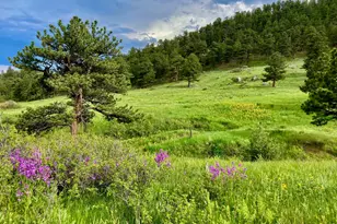 95 Rowell Dr, Lyons, CO 80540 - Photo 33