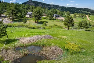 95 Rowell Dr, Lyons, CO 80540 - Photo 35