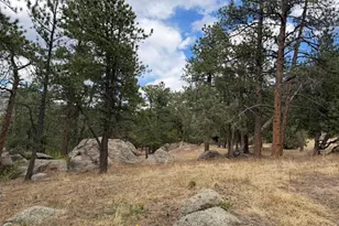 8 Estes Park Estates Dr, Lyons, CO 80540 - Photo 23