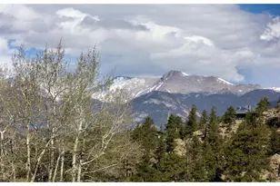 3505 St Francis Way, Estes Park, CO 80517 - Photo 43