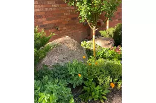 2463 Broadway St, Boulder, CO 80304 - Photo 27
