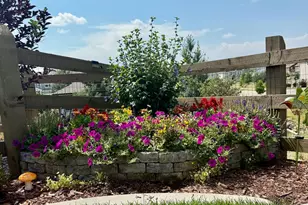 389 Bronco Ct, Berthoud, CO 80513 - Photo 23