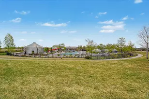 2069 Day Spring Dr, Windsor, CO 80550 - Photo 39