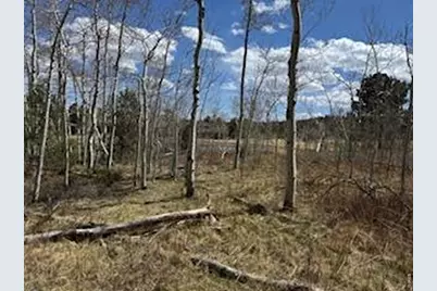 400 Fox Acres Dr W, Red Feather Lakes, CO 80545 - Photo 7