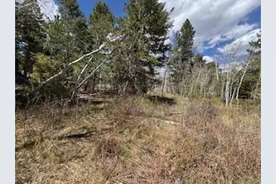 400 Fox Acres Dr W, Red Feather Lakes, CO 80545 - Photo 11