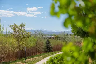 2245 Shandy St, Fort Collins, CO 80524 - Photo 29