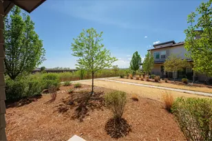 2245 Shandy St, Fort Collins, CO 80524 - Photo 31