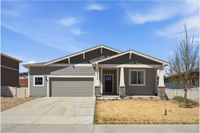 3928 River Birch St, Wellington, CO 80549 - Photo 3