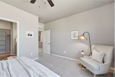 3928 River Birch St, Wellington, CO 80549 - Photo 17