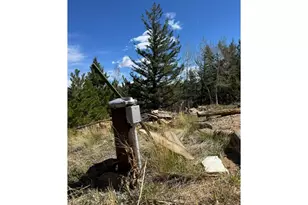 1241 Giant Track Rd, Estes Park, CO 80517 - Photo 19
