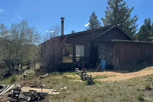 1241 Giant Track Rd, Estes Park, CO 80517 - Photo 15