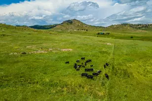 11881 W County Rd 74e, Livermore, CO 80536 - Photo 47