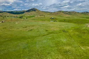 11881 W County Rd 74e, Livermore, CO 80536 - Photo 45