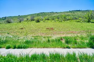 352 McConnell Dr, Lyons, CO 80540 - Photo 1