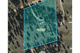 370 Lone Pine Creek Dr, Red Feather Lakes, CO 80545 - Photo 7