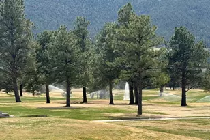 1449 Matthew Cir, Estes Park, CO 80517 - Photo 27
