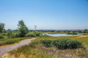 1320 Snowberry Ln, Louisville, CO 80027 - Photo 33