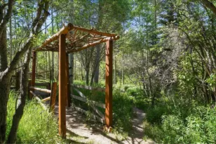 1410 Caribou Rd, Nederland, CO 80466 - Photo 15