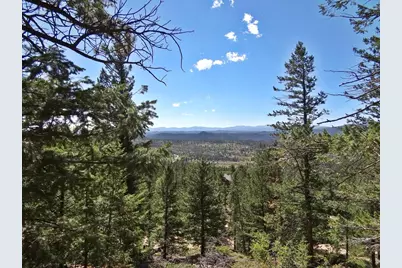 203 Mattapony Way, Red Feather Lakes, CO 80545 - Photo 1