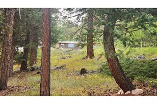 7026 Storm Mountain Dr, Drake, CO 80515 - Photo 23