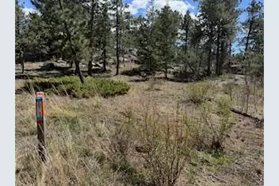 2215 Fox Acres Dr E, Red Feather Lakes, CO 80545 - Photo 31