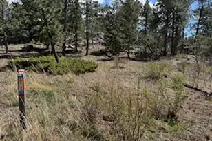2215 Fox Acres Dr E, Red Feather Lakes, CO 80545 - Photo 31