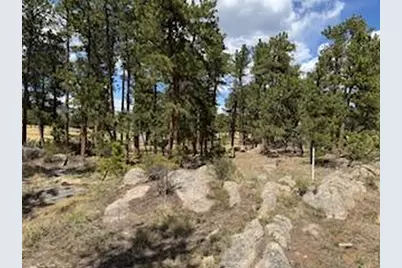 2215 Fox Acres Dr E, Red Feather Lakes, CO 80545 - Photo 25