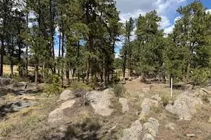 2215 Fox Acres Dr E, Red Feather Lakes, CO 80545 - Photo 25